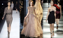 z麻豆,揭秘网络红人的魅力与影响力